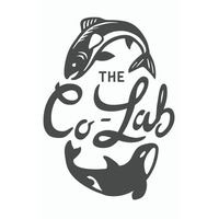 Tacoma summer camps